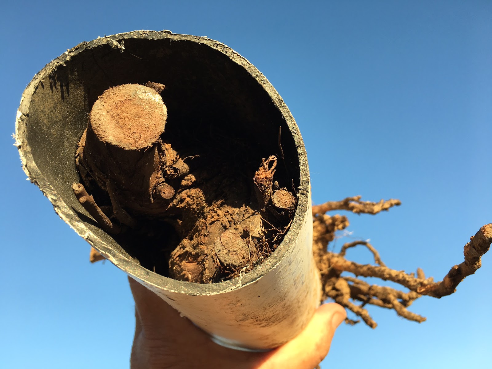 Driveway Drains Suffering? Hydrojet Blasts Clogs Away in Seconds