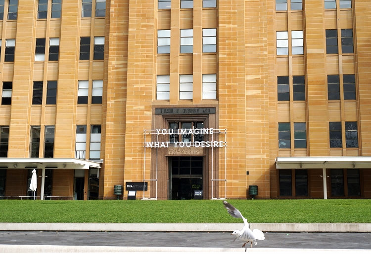 seagull, Sydney, Australia, Euriental