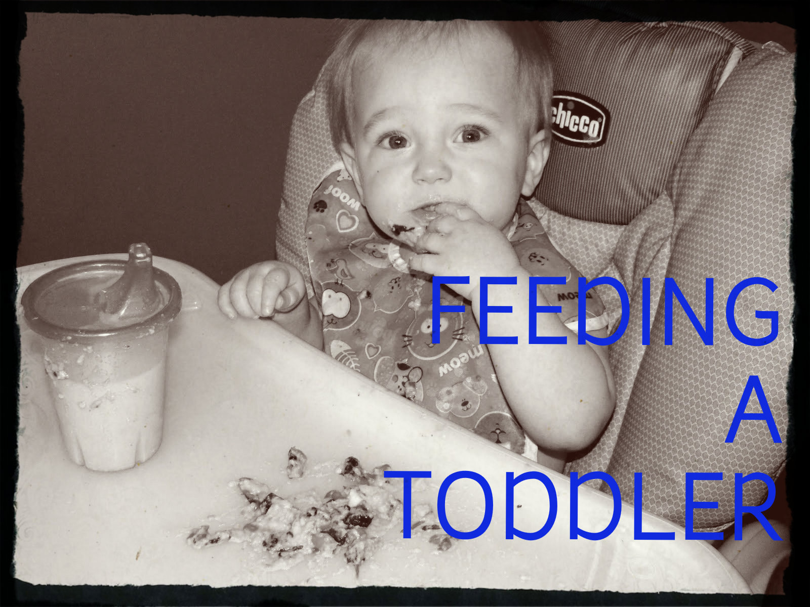Feeding a Toddler
