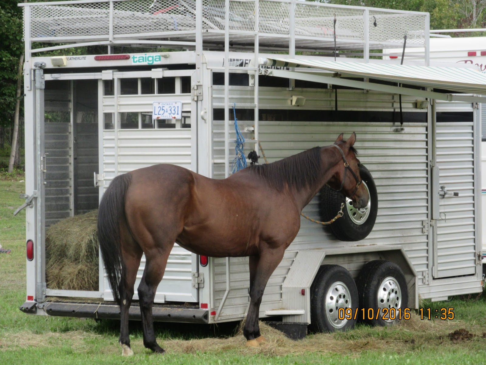 northernbliss: BRUCE MINES FALL FAIR