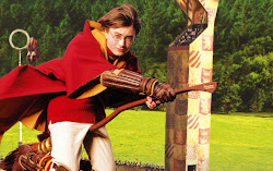 harry quidditch plays hogwarts potter rules sport playing quiditch alumni