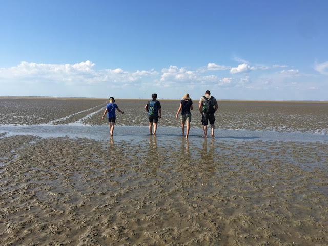 Spannende Touren ins dänische Wattenmeer: Interview mit Betty vom Vadehavscentret in Ribe. Auf Küstenkidsunterwegs erfahrt Ihr von Betty, warum das Wattenmeer in Dänemark spannend und teils ganz anders als in Deutschland ist und was Ihr im Wattenmeerzentrum und auf den Ausflügen dort alles erleben könnt.