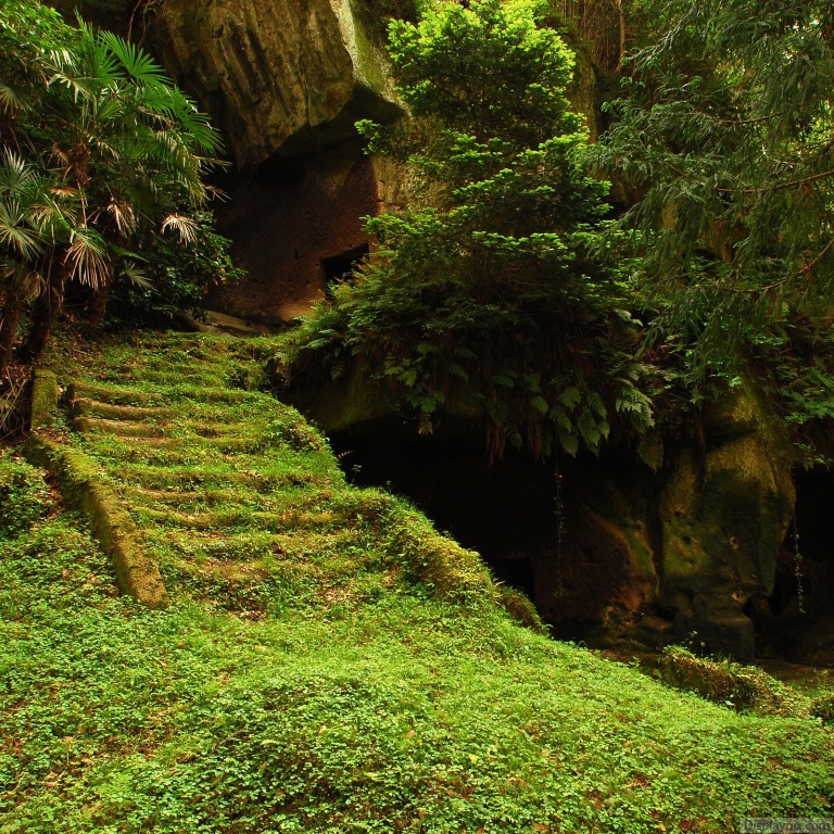 Beautiful Nature Profile Pictures Top Profile Pictures Display Pictures