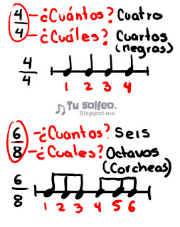 forma del compas musical