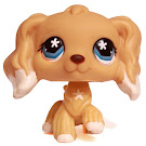 Littlest Pet Shop Multi Pack Spaniel (#748) Pet