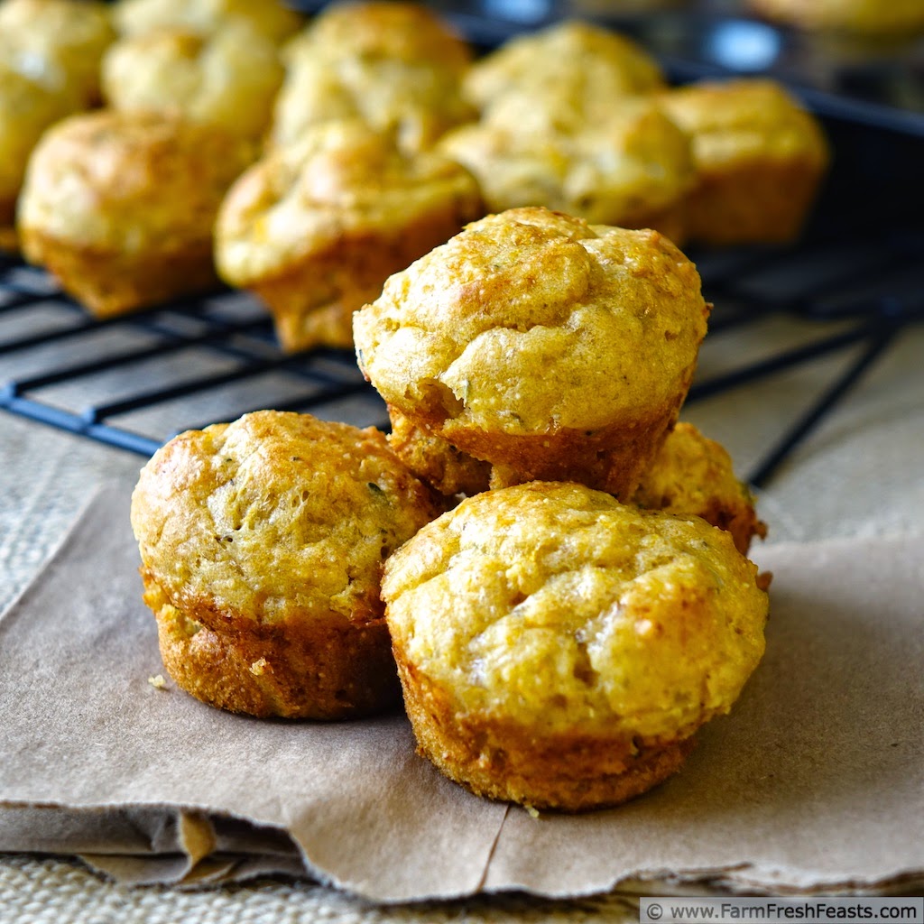 Farm Fresh Feasts Herbed Butternut Squash And Cottage Cheese Muffins