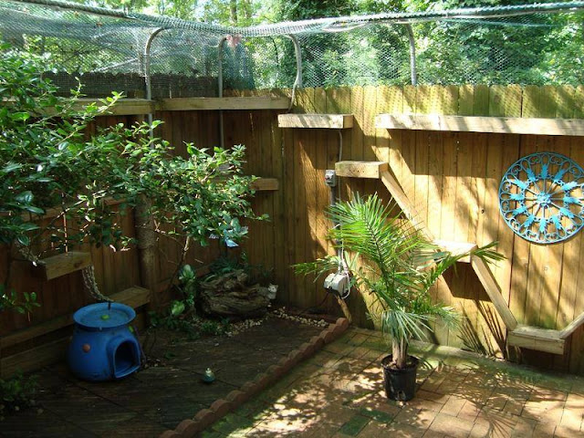 Taman Kucing Taman Kucing