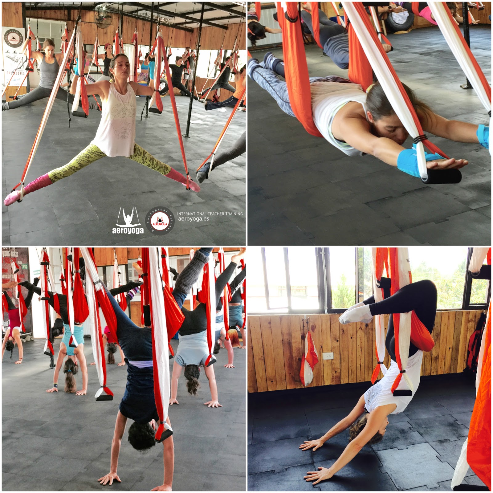 AERO YOGA INSTITUTE Formación Profesores AeroYoga® (Yoga Aéreo