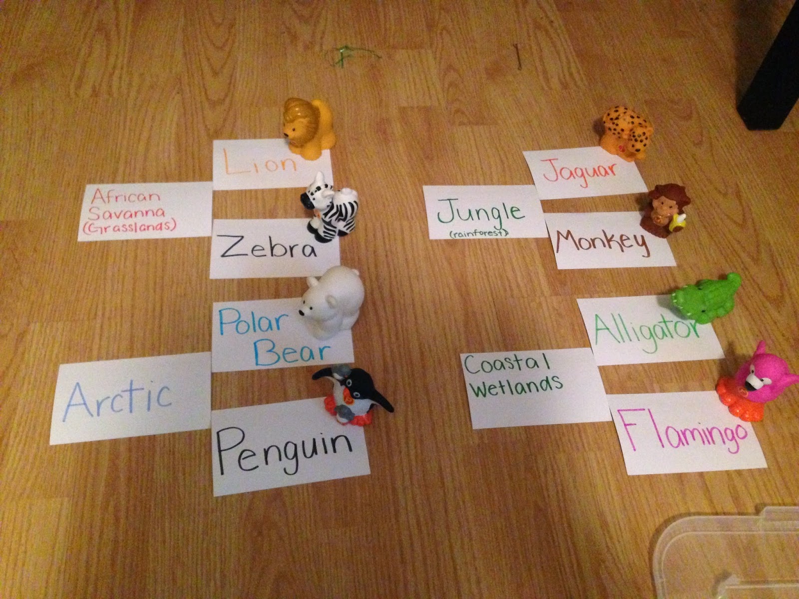 Let's Learn Science Animal Habitat Investigation Box