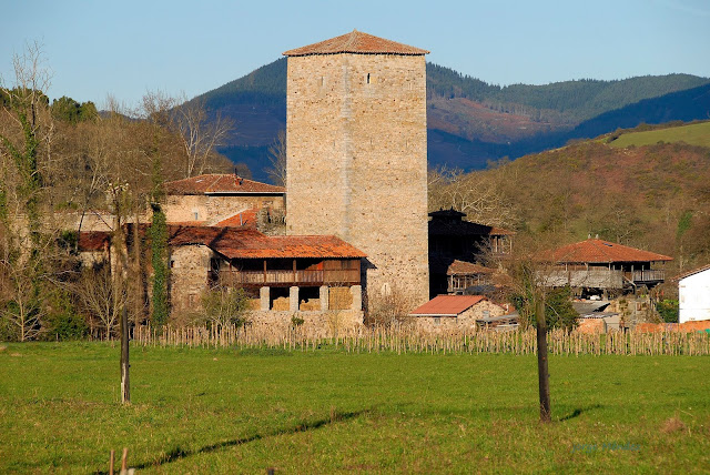 Torre defensiva construida s.XV sobre antiguo castillo. Casa natal Conde de Coalla