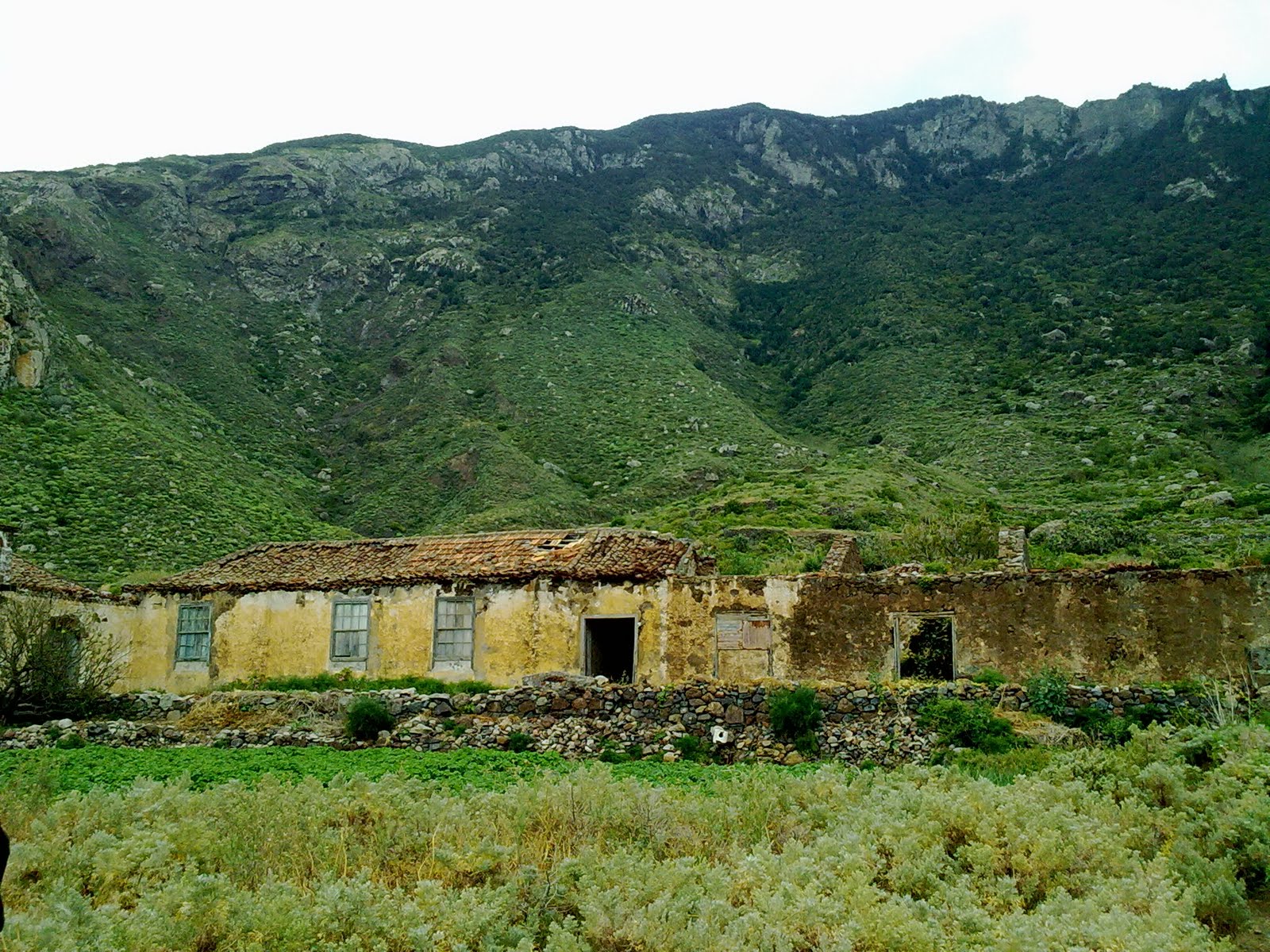 CURIOSEANDO POR TENERIFE Caserío Las Palmas