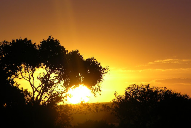Sunset in kenya