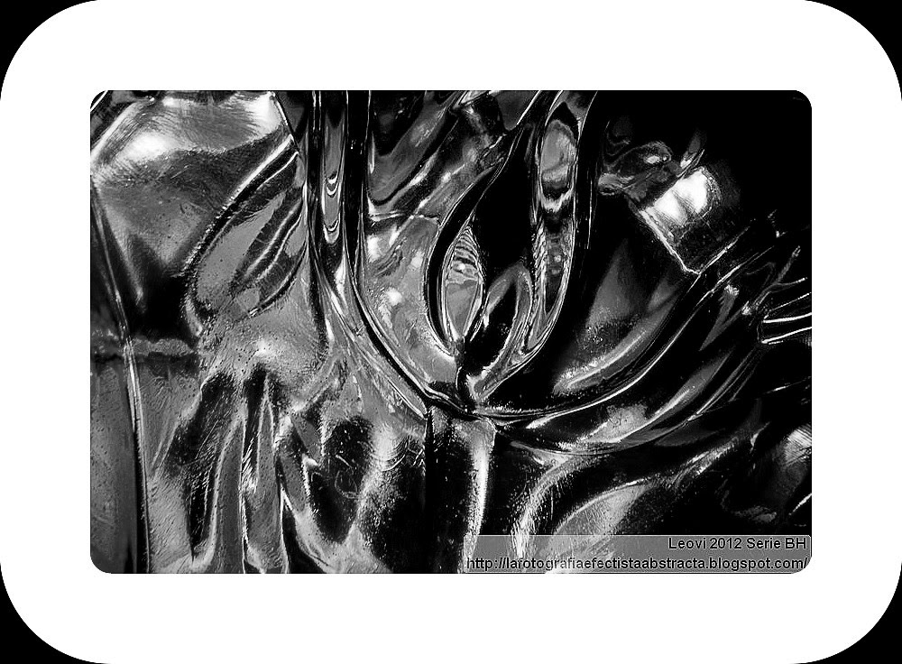 Foto Abstracta 2981 Visita mi jardín esta noche - Visit my garden tonight Foto Abstracta 2981 Visita mi jardín esta noche - Visit my garden tonight