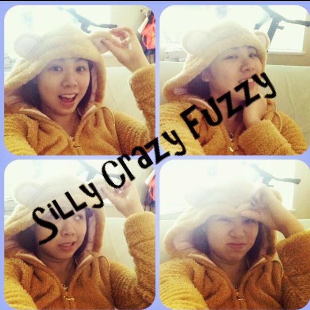 Silly Crazy Fuzzy