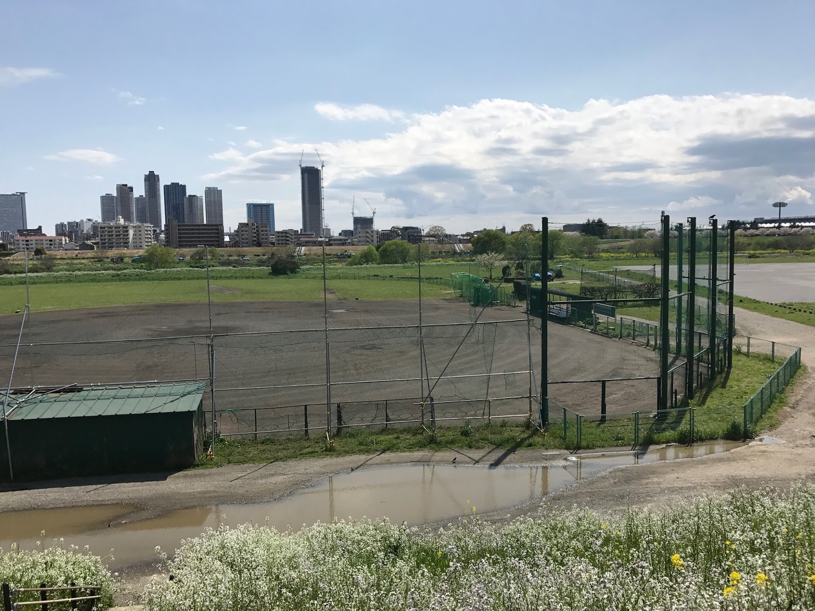 一日一言 名言 古代ギリシャの数学者で哲学者のピタゴラスは 怒りは無謀をもって始まり 後悔をもって終わる と話したそうです