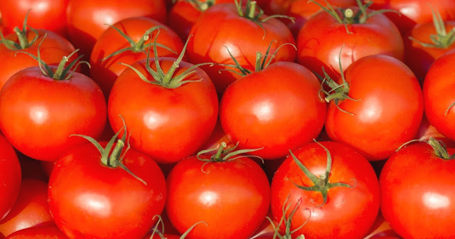 gambar tomat manfaat tomat untuk kesehatan dan kecantikan