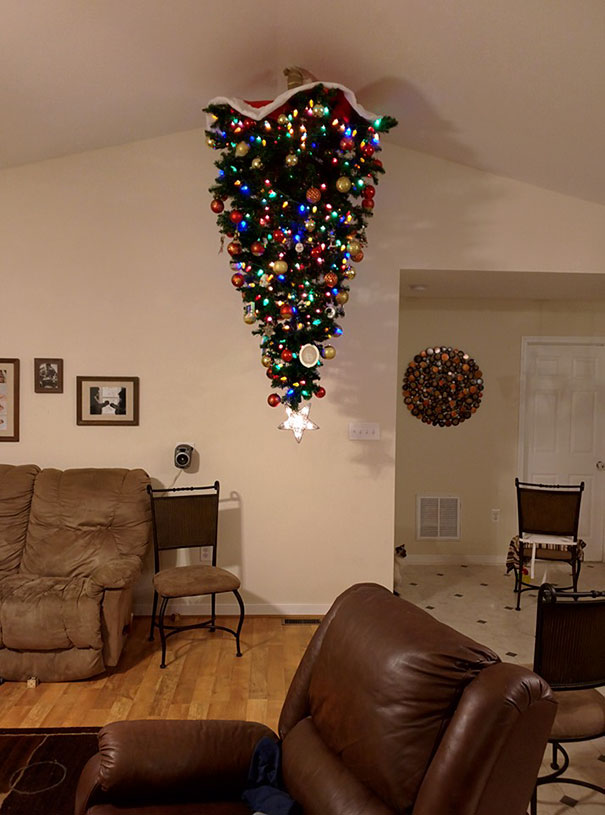 These Geniuses Found A Way To Protect Their Christmas Trees From Their Cats And Dogs These Geniuses Found A Way To Protect Their Christmas Trees From Their Cats And Dogs
