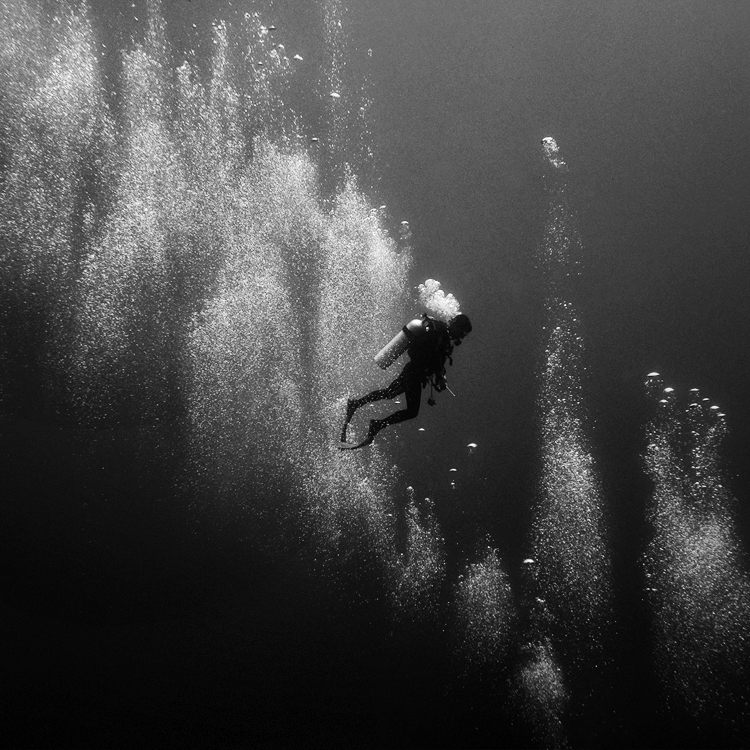 Черные воды фото. Под водой. Дно бездны. Черно белое фото. Черно белые фотографии Эстетика.