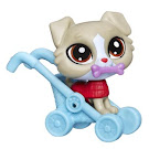 Littlest Pet Shop Blind Bags Collie (#3871) Pet