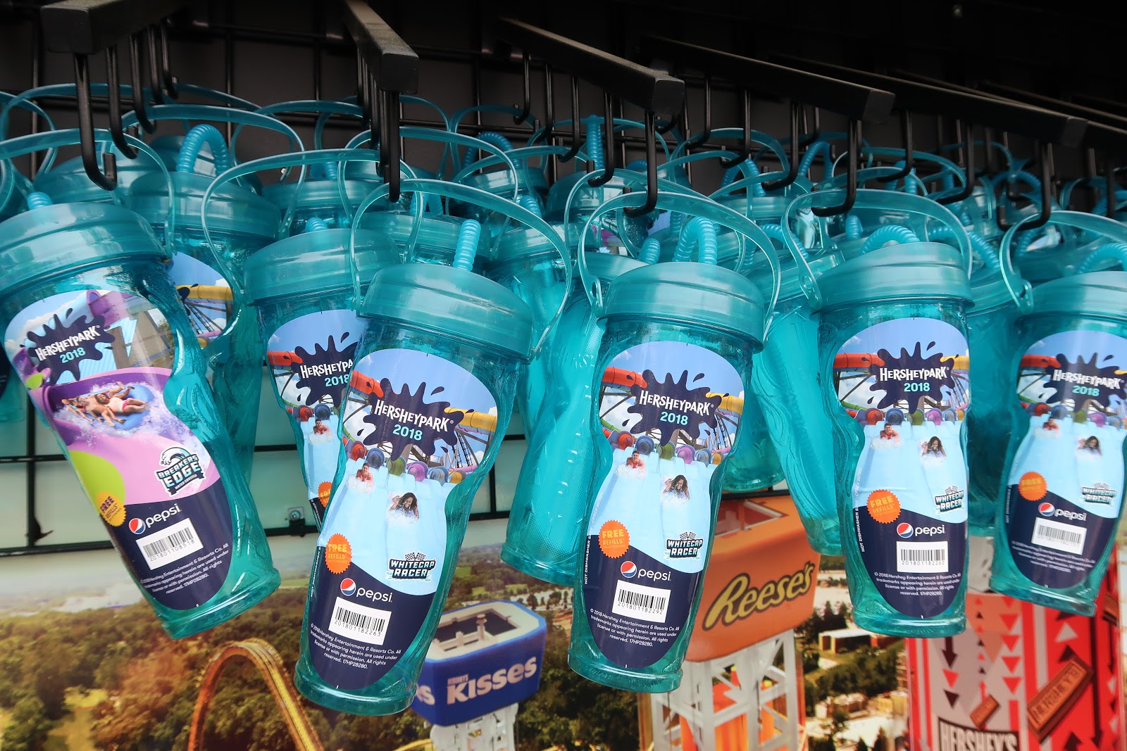 Susan's Disney Family Top 5 reasons to get a Hersheypark Season Pass