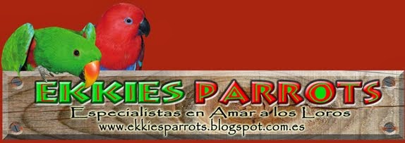 Ekkies Parrots