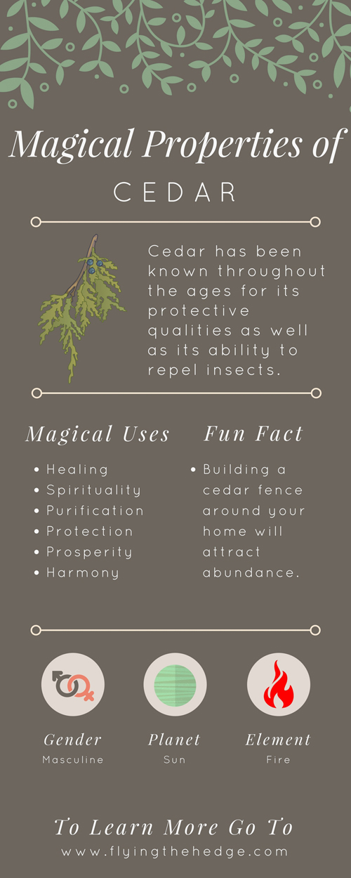 Magical Properties of Cedar