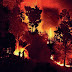Forest fires: An inferno of apathy