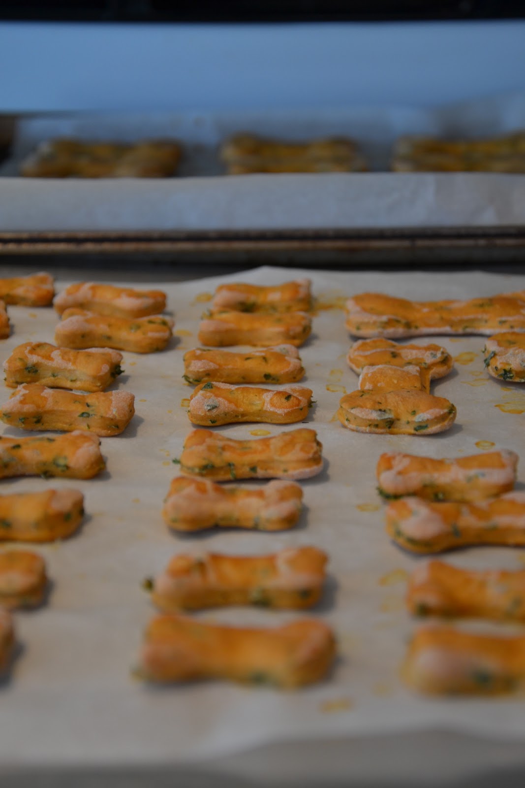 Scrambled Eggs Etc Homemade Dog Biscuits