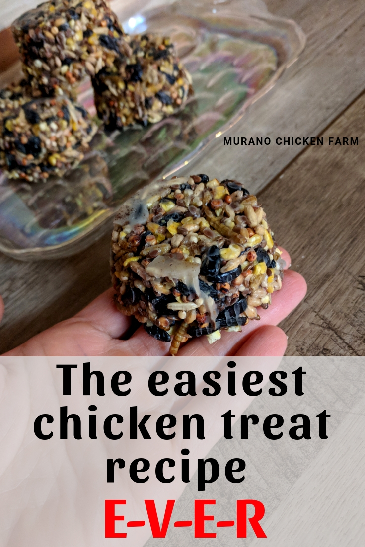 Quick and easy chicken treats Murano Chicken Farm