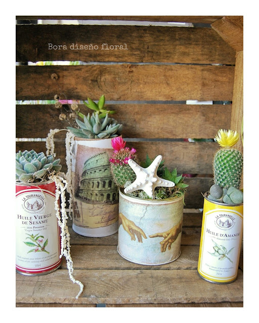 latas de té con plantas