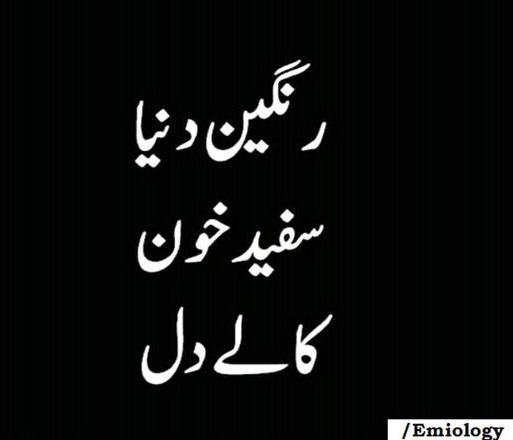 Okcupid dating persona test answers Poetry quotes about life and love in urdu