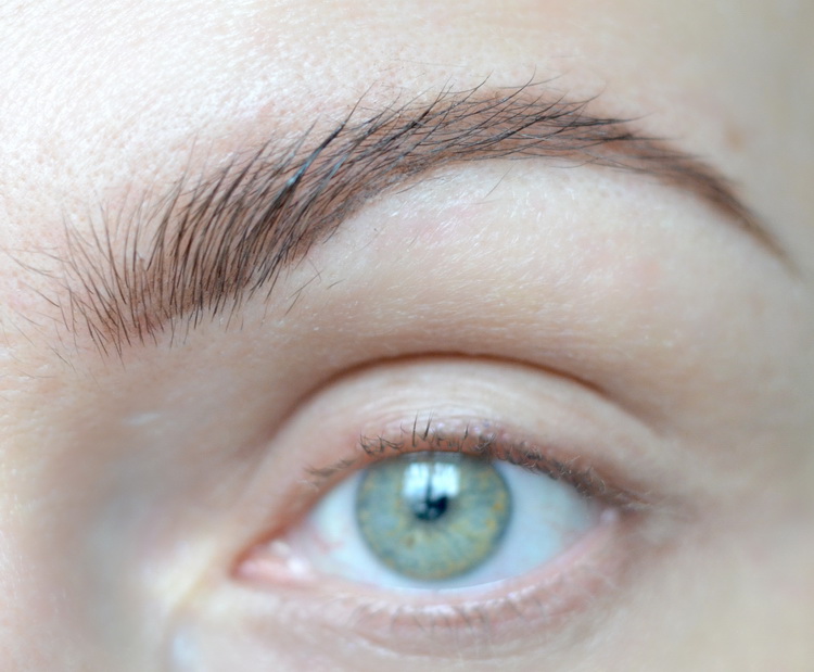 Rysichka Artdeco Brow Duo Powder & Liner 22 Hot cocoa