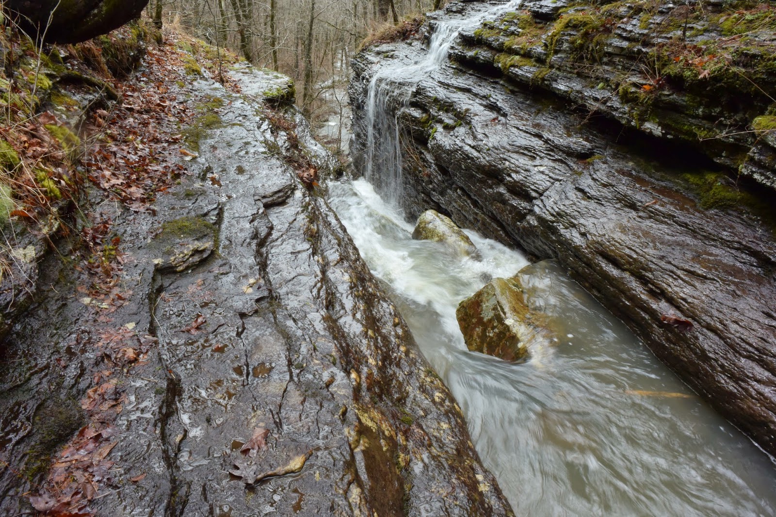 Arkansas' Hidden Gem: Brock Creek Lake Recreation Area