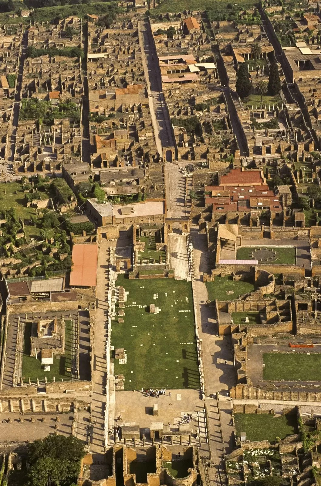 Almacen De Clasicas Pompeya La Ciudad Desenterrada