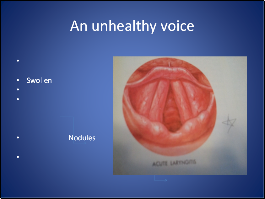 Ragazzi Sings Vocal Health and Beyond