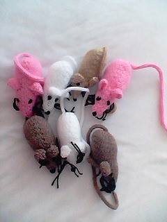 mice to go to battersea dog/cat home xxx