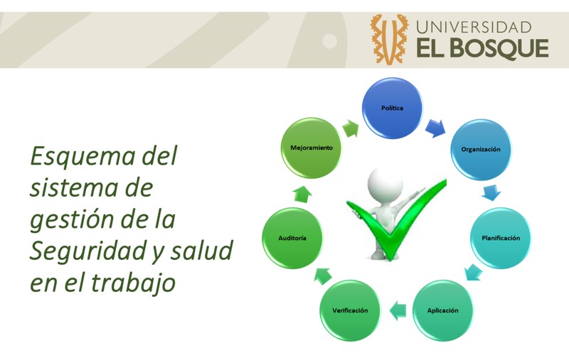 Conceptualización Sistémica De La Seguridad Higiene Y Salud Ocupacional