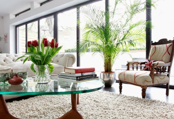 Palm trees for the Living room