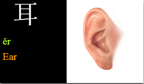 每日中文 Daily Zhongwen: ěr 耳[Ear] —— 字&词