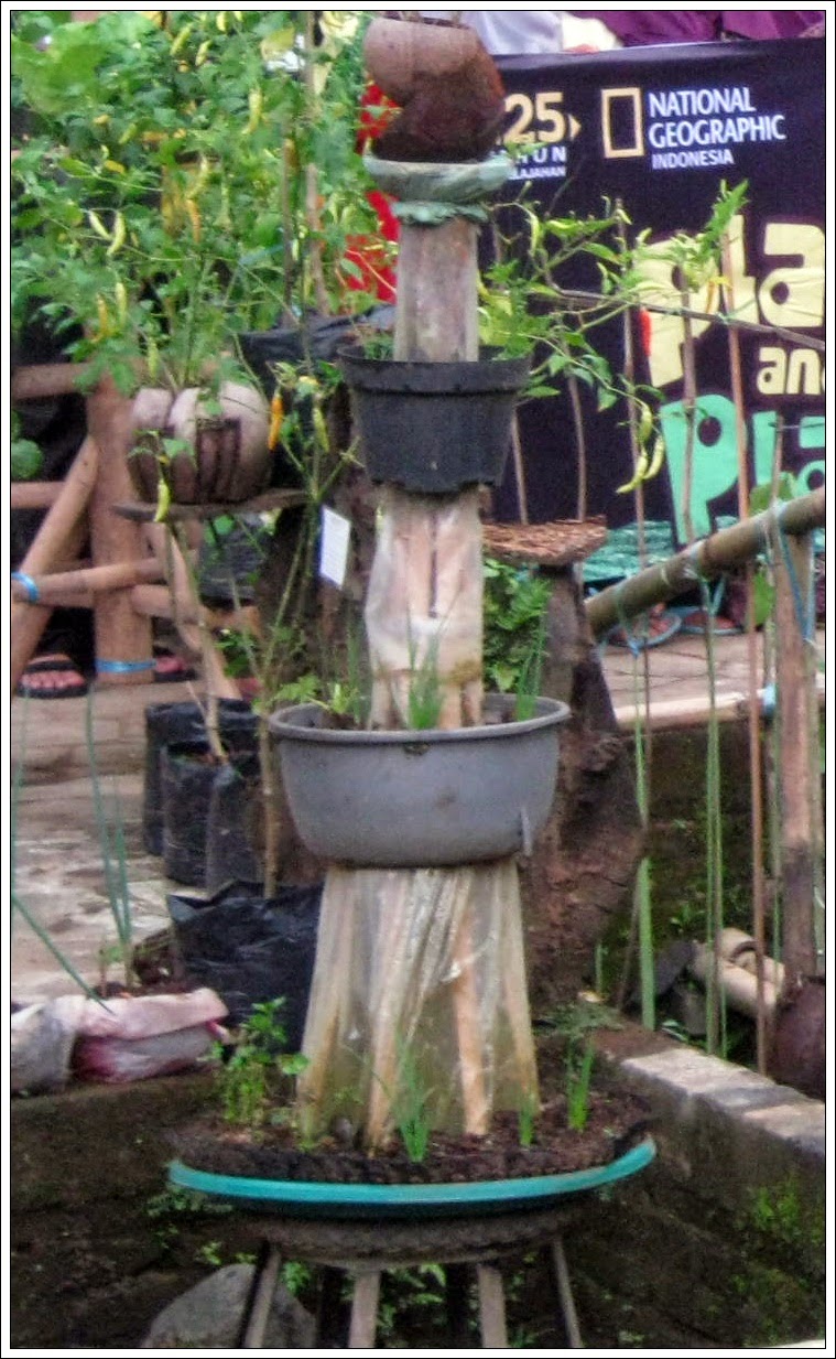 Contoh Tipe Rak Vertikultur Kreasi Masyarakat