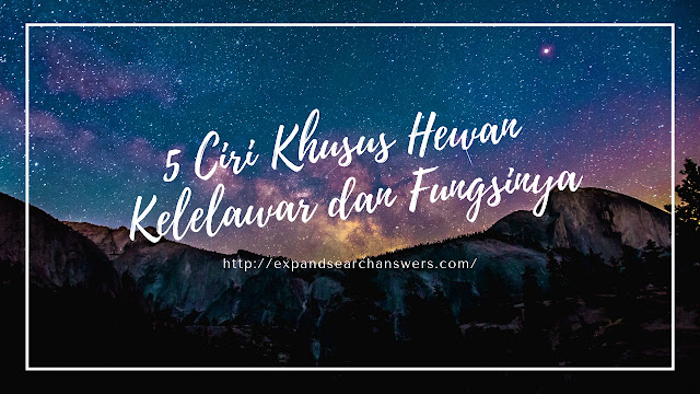 5 Ciri Khusus Hewan Kelelawar dan Fungsinya 5 Ciri Khusus Hewan Kelelawar dan Fungsinya