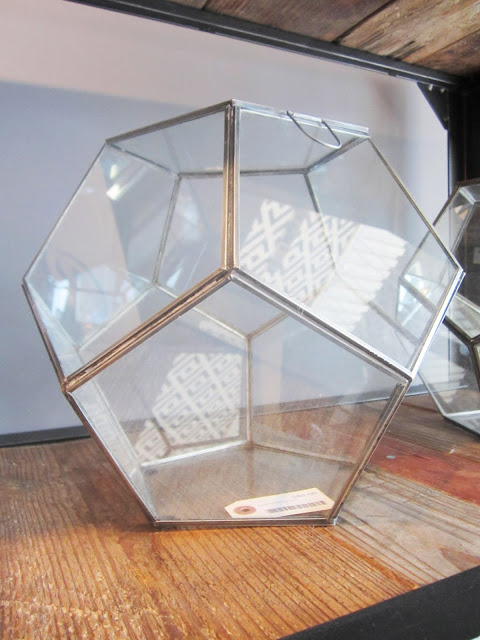 Dodecahedron terrarium