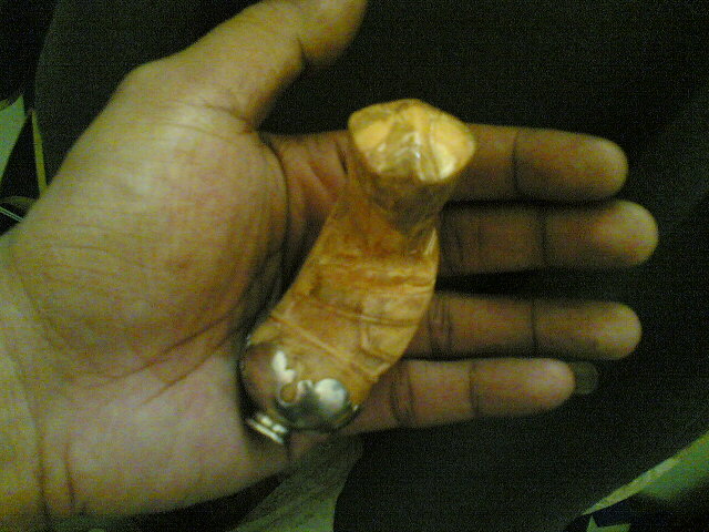 LABO Hulu gading Ayam Teleng Antik