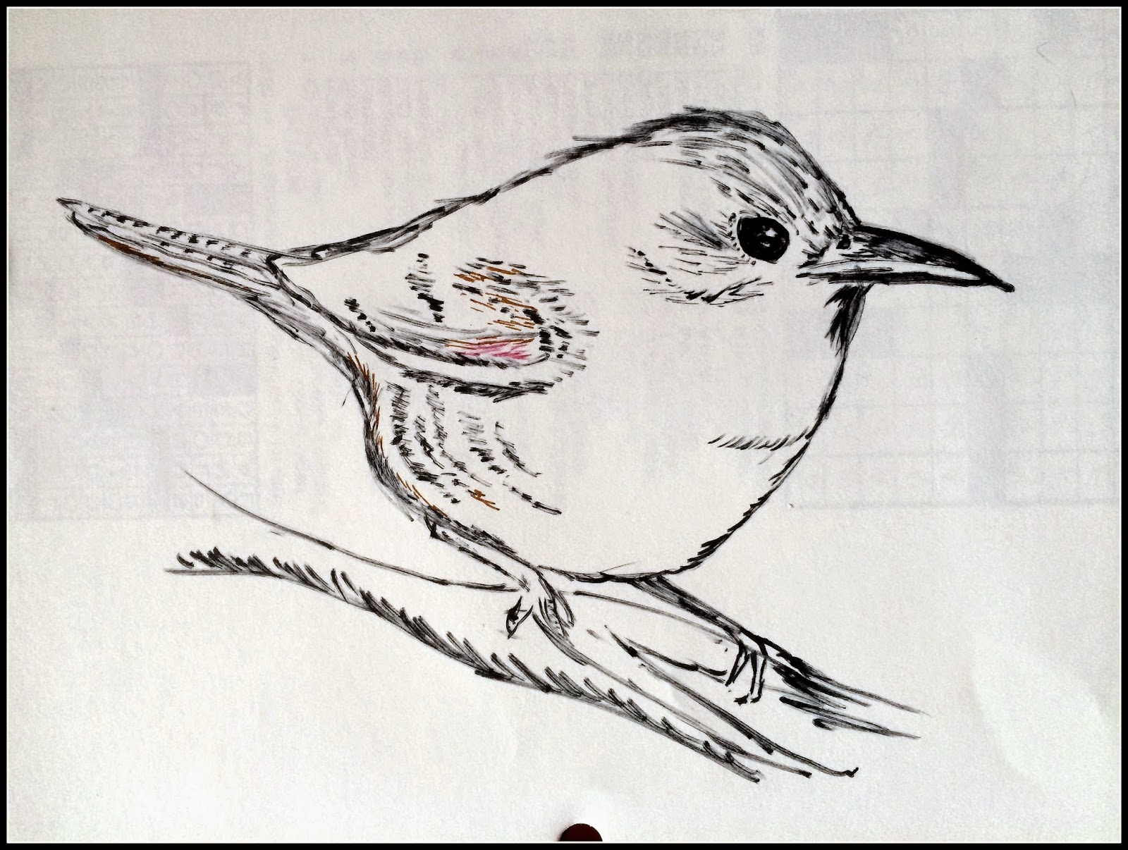 Zippiknits Sometimes LIttle Wren Drawing Basket Of Pens Organizing 