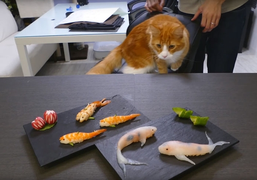00-Rachel-and-Jun-JunsKitchen-Food-Art-Koi-Fish-Sushi-www-designstack-co
