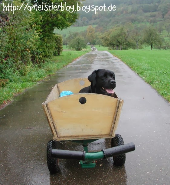 Tierisches Gewusel 10/01/2013 11/01/2013