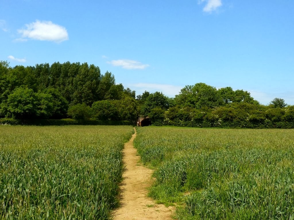 This way to The Owl Wood