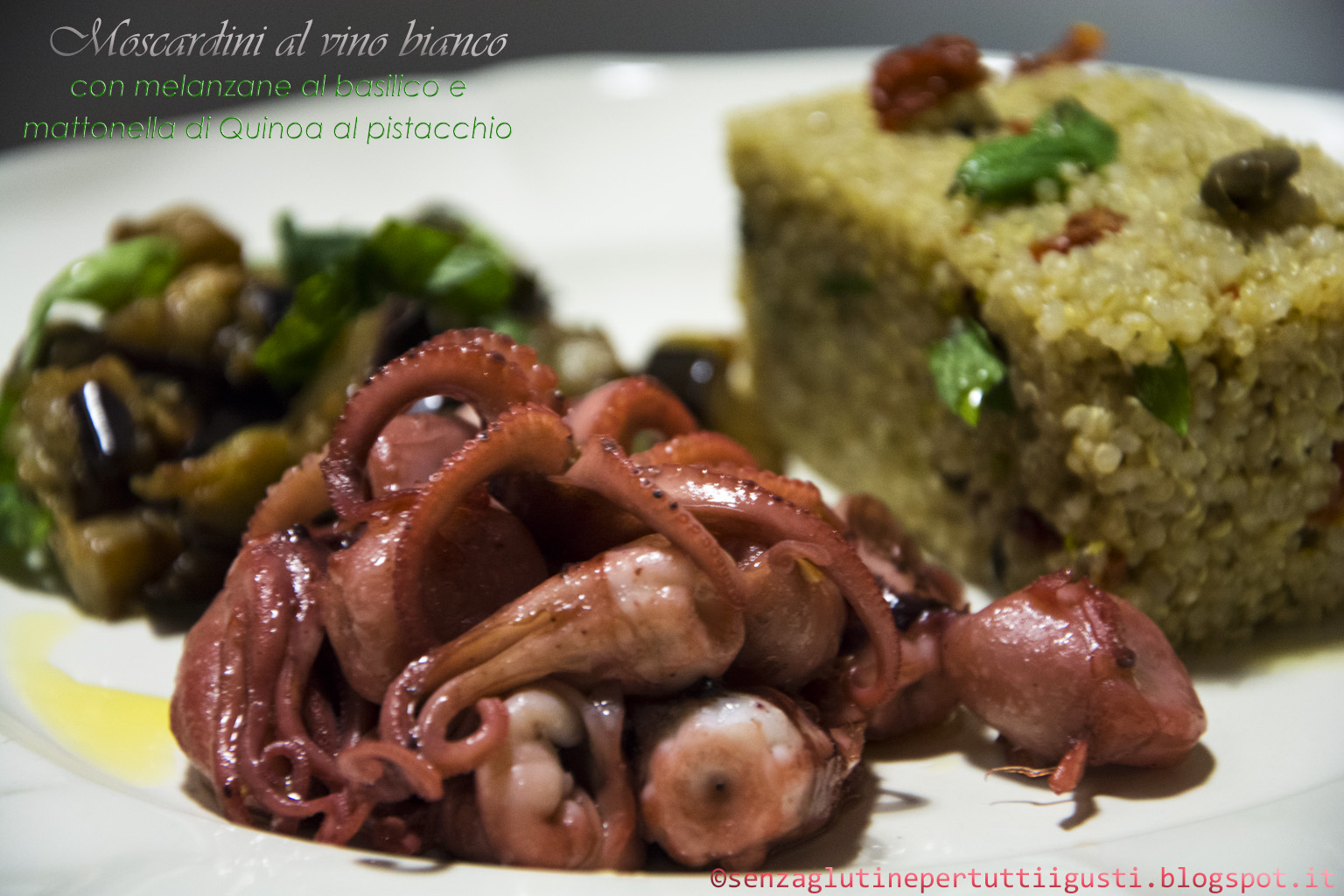 moscardini al vino bianco con melanzane al basilico e mattonella di quinoa al pistacchio