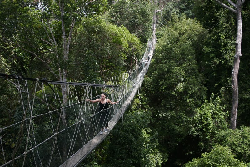 Taman-Negara-Malaysia