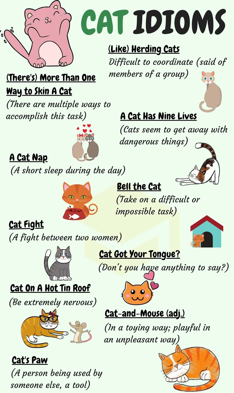 CAT Idioms 30 Common Cat Idioms with Examples